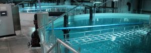 Land-based aquaculture