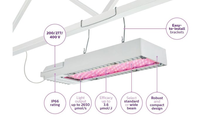 Greenpower led shop