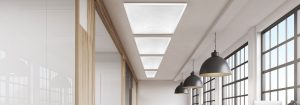 Future ready your business with the Elite smart lighting family