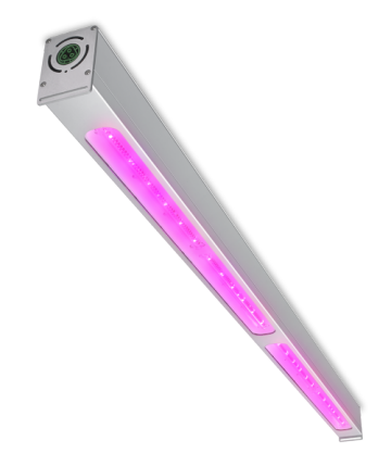 Philips greenpower led sale