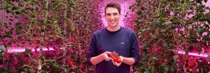 Creating a recipe for growth for indoor farming